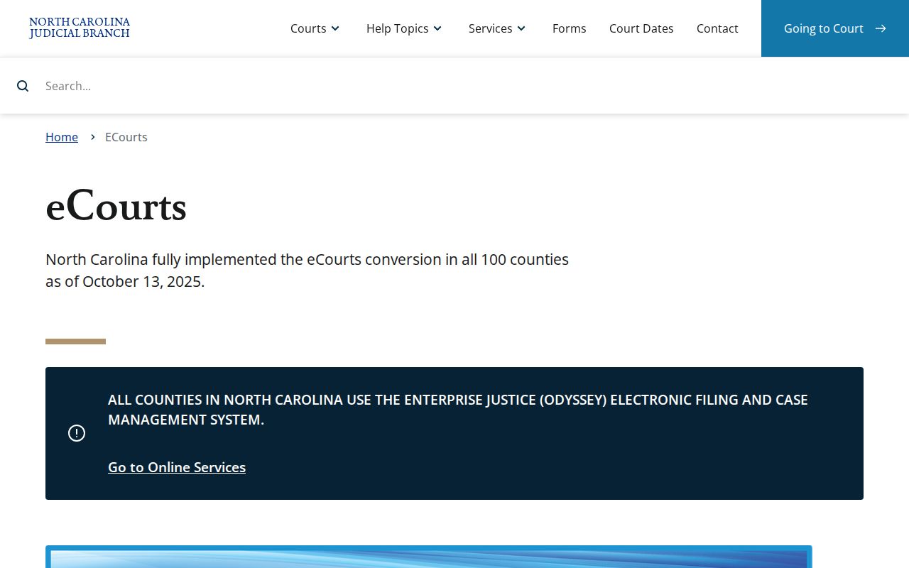 Washington County criminal court cases eCourts overview